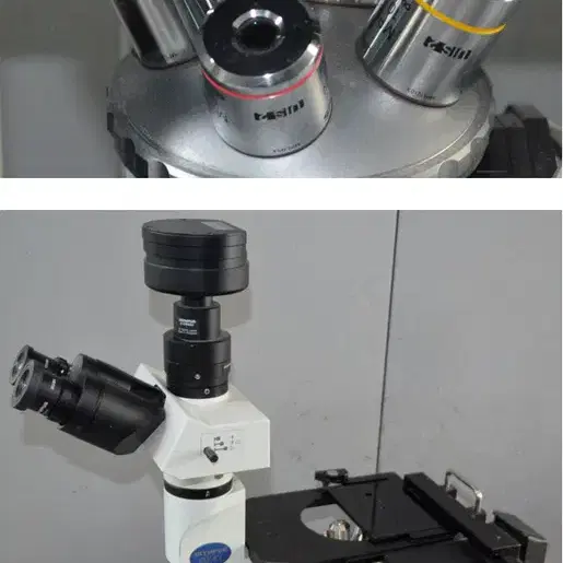 도립현미경 Olympus GX41 Inverted Microscope