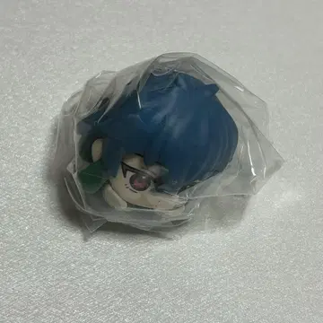 고양이 고양이 리락쿠라코로 바스틴