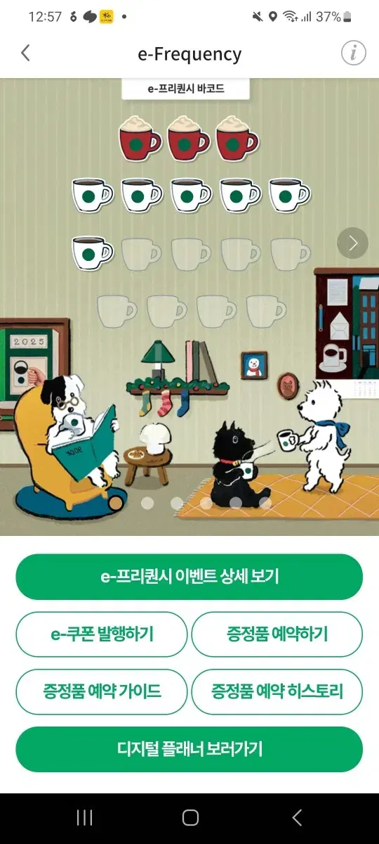 스타벅스 프리퀀시 일반 6개일괄