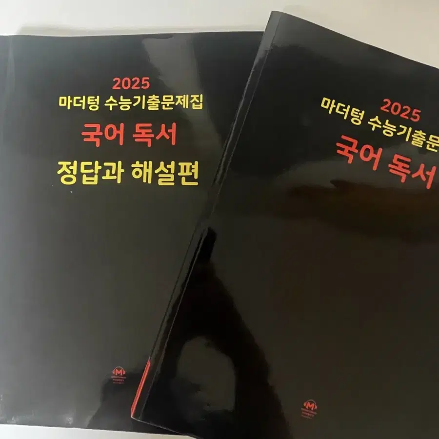 2025 마더텅 국어 독서