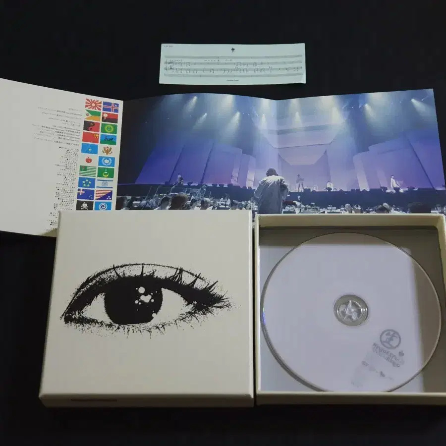 시이나링고 10주년 기념 라이브 공연 EXPO 08 DVD 영상 한정반