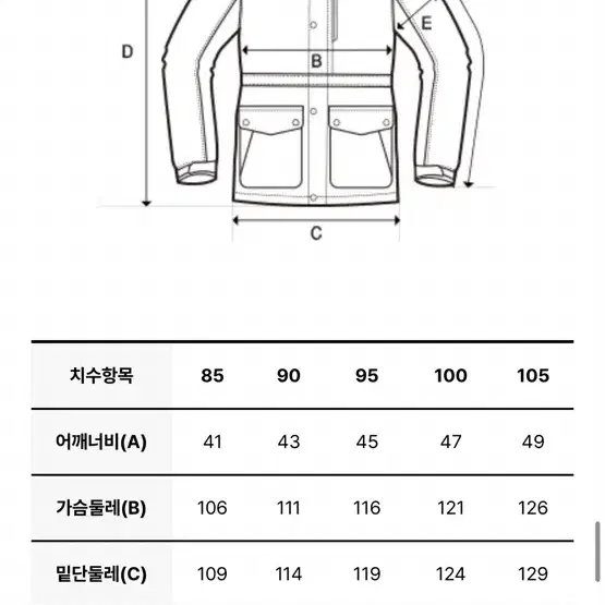 디스커버리 여성 레스터G RDS 구스다운 숏패딩 사이즈 100 정가 35