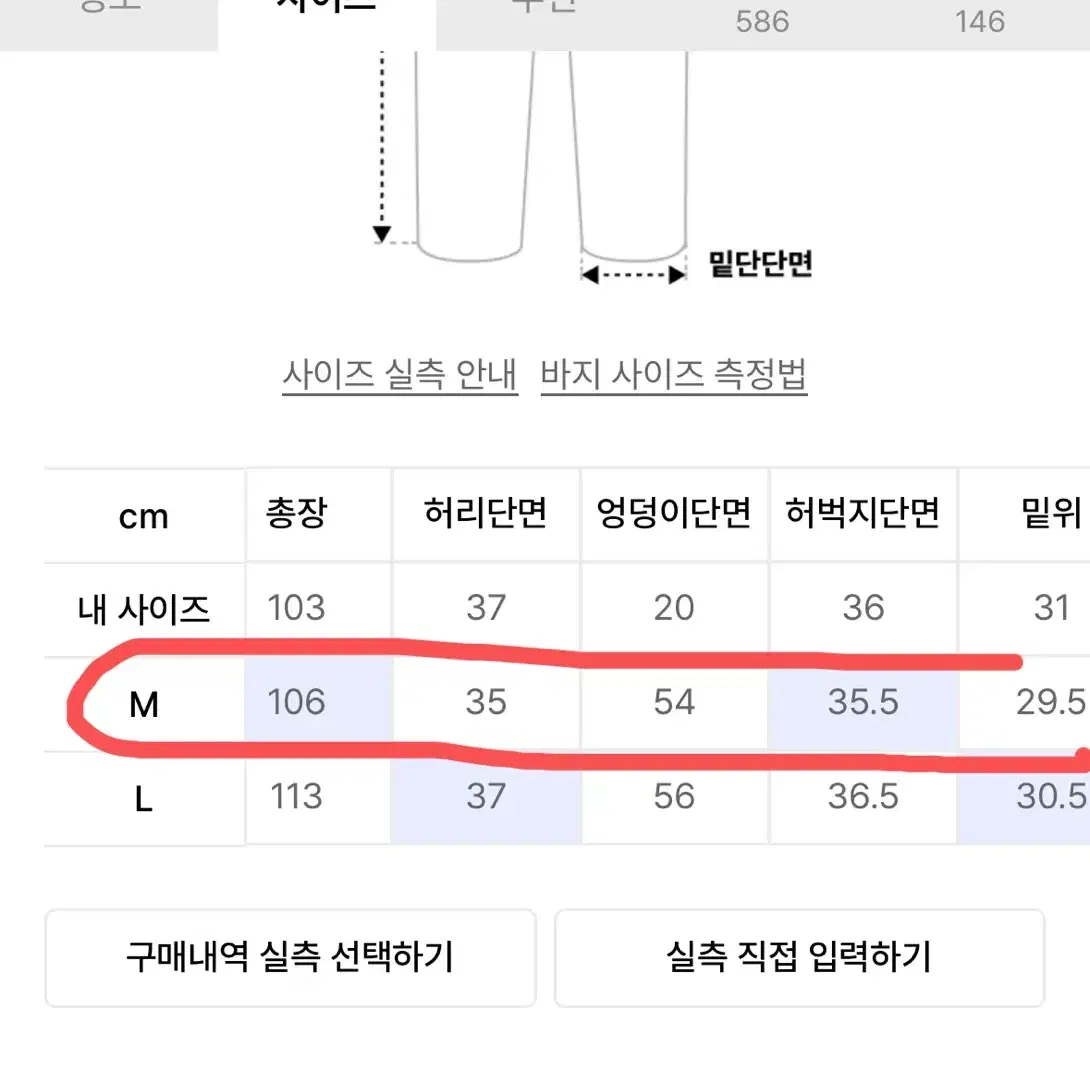 더아이덴티티프로젝트 카고 팬츠 (m)