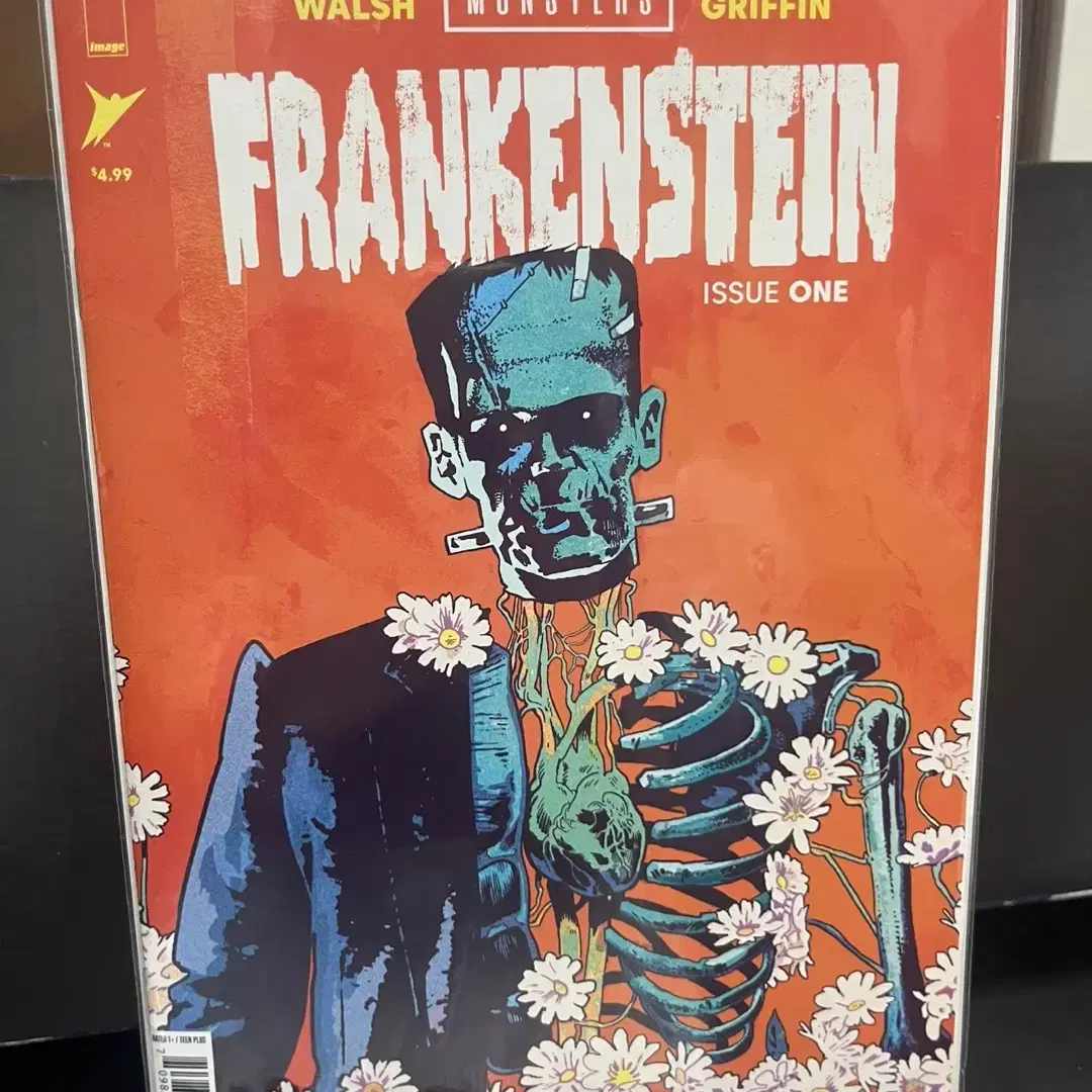 Universal Monsters: Frankenstein #1