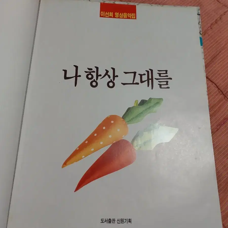 이선희 영상화보집