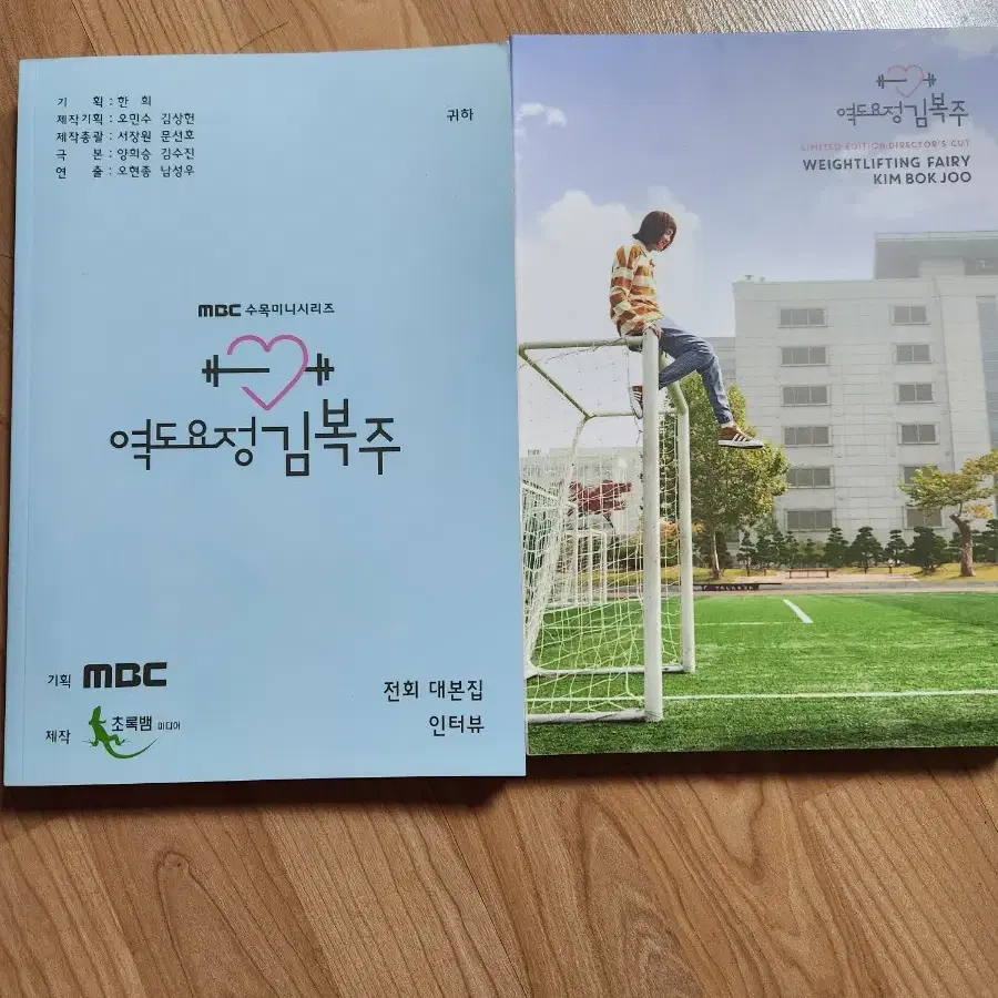 역도요정김복주 감독판 dvd 블루레이 남주혁 이성경 분철판매