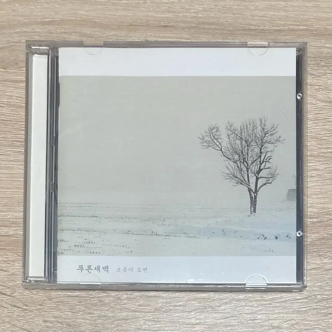 푸른새벽 2집 CD 판매