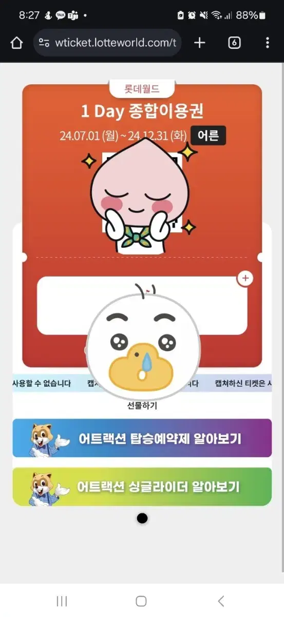 롯데월드 저유이용권 (종일권) 판매해요!