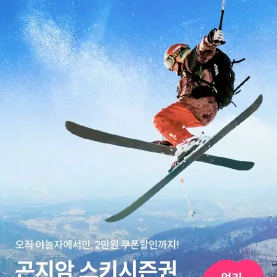 곤지암 스키장 시즌권 팝니다