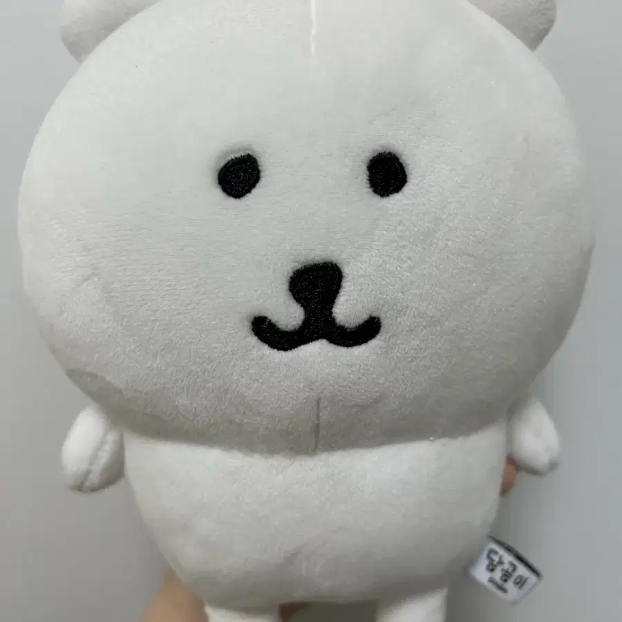 농담곰 인형