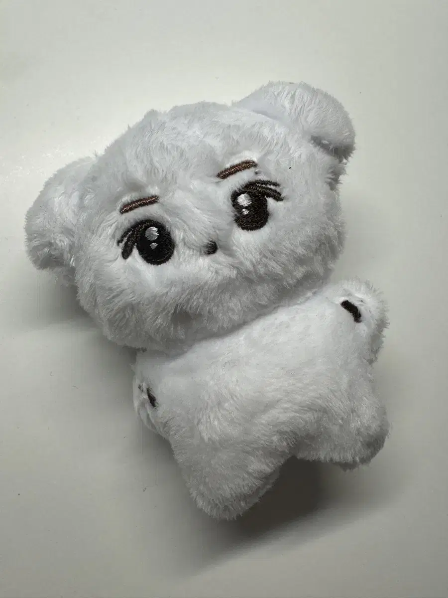 라이즈 성찬 인형 숑뭉이 10cm 양도