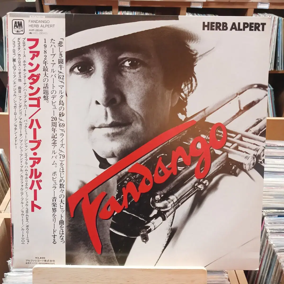 [JAZZ] HERB ALPERT LP 3장 일괄 정리