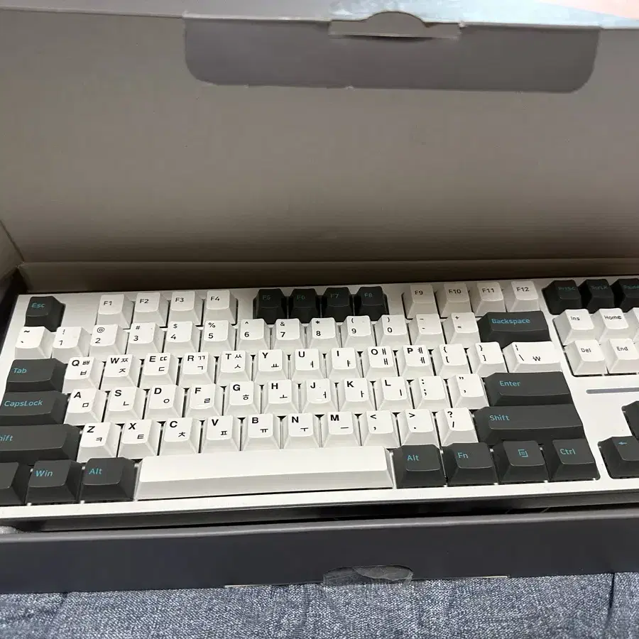 ck01 tkl pbt 텐키리스키보드