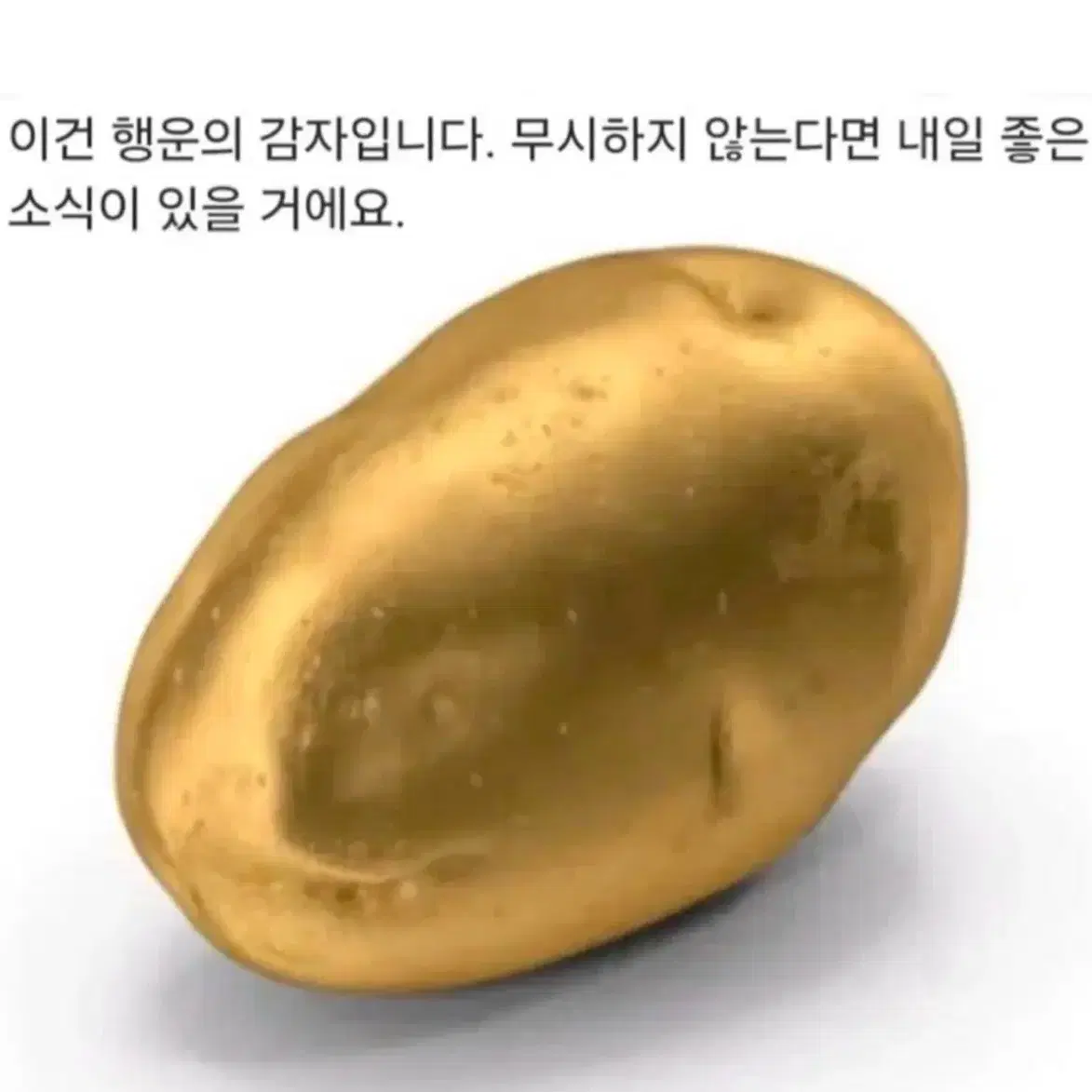 해찬포카 30장 일괄