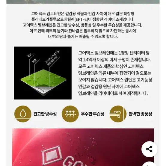 노스페이스 에코 고어텍스 자켓