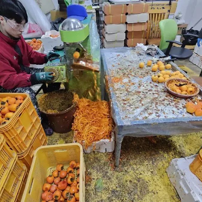 충북 영동 명품 곶감 팝니다.