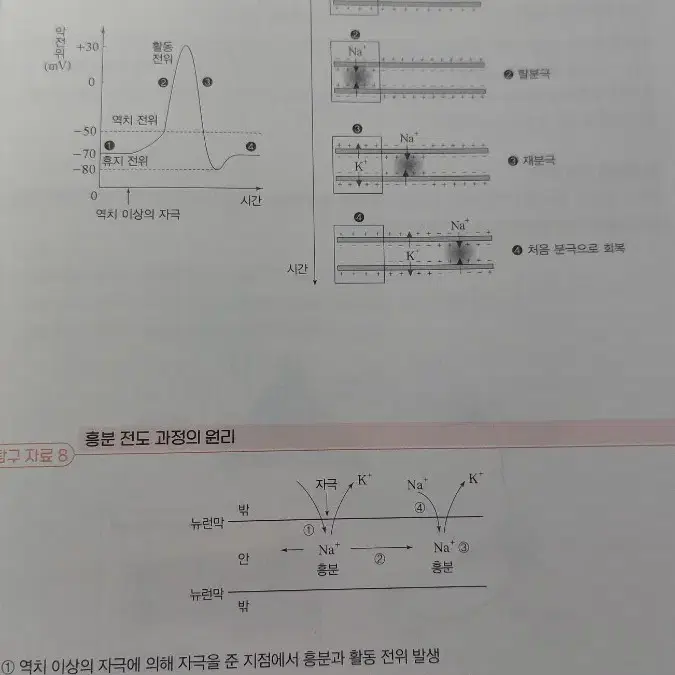 한종철 생명과학 개념서 철두철미 2024 판매합니다