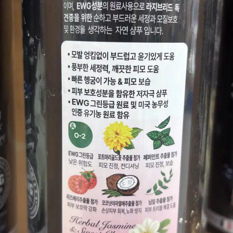 네이처스 대형견 샴푸 1000ml