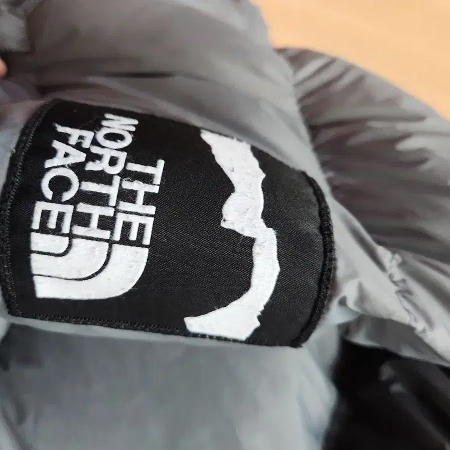 The North Face x INVINCIBLE 1996 눕시