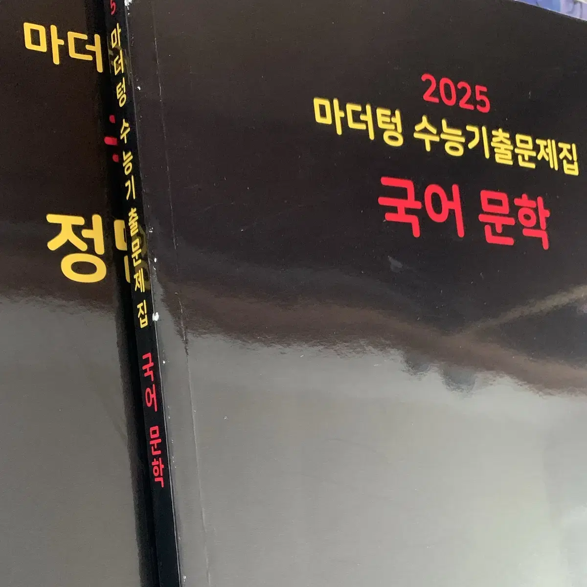 2025 마더텅 국어 문학