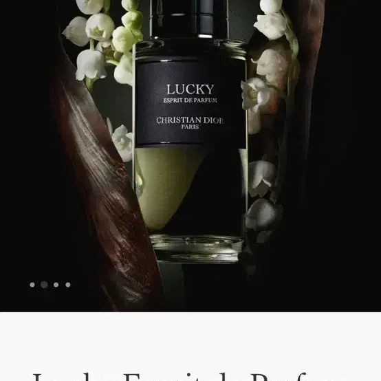 Dior 럭키 향수(Lucky Esprit de Parfum) 80ml