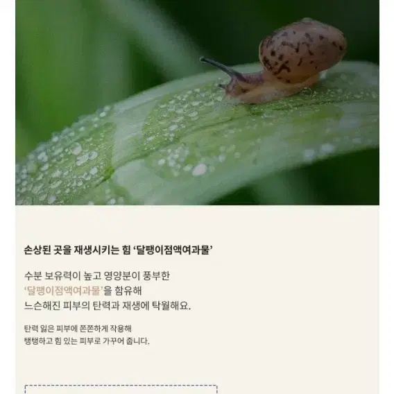 라멜린 골드 스네일 필링 젤  150ml