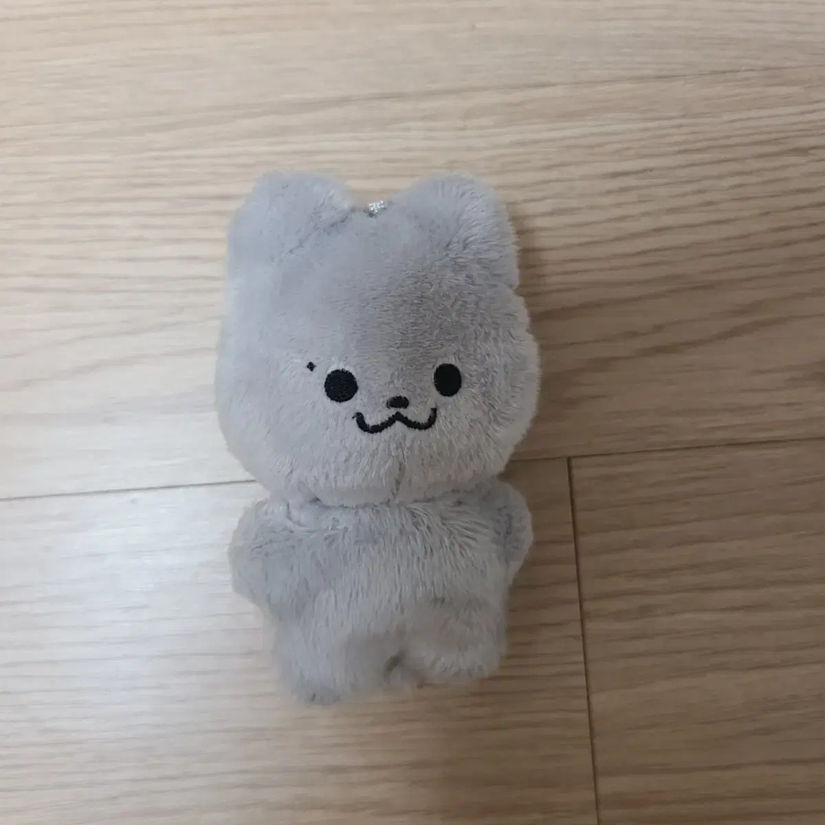 더보이즈 주연 쥬냥이 달곰 쥬냥