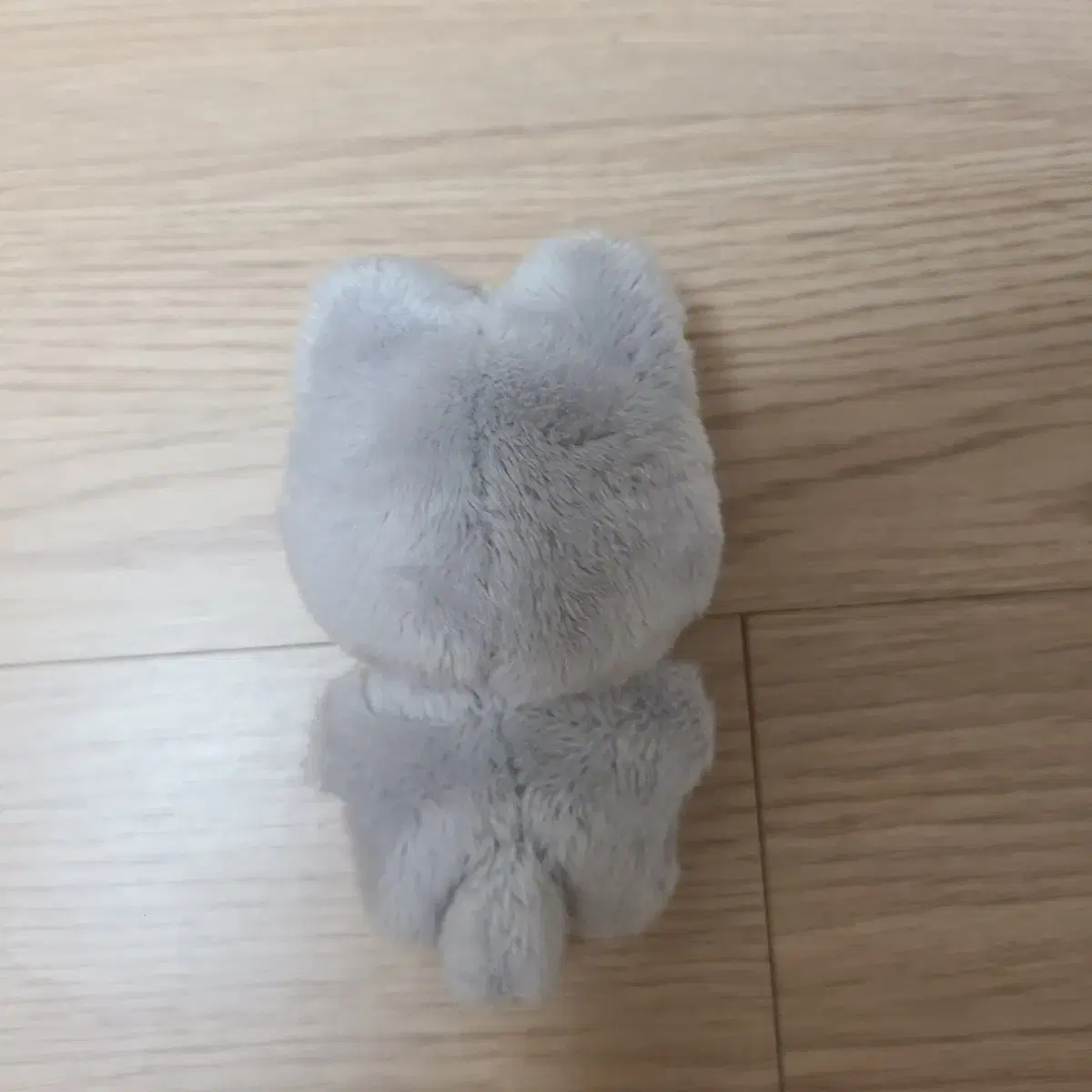 더보이즈 주연 쥬냥이 달곰 쥬냥