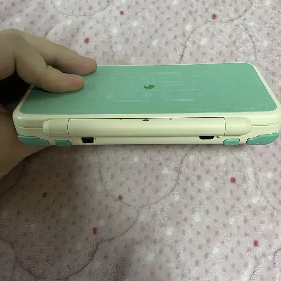 닌텐도 2ds xl 동물의숲 에디션