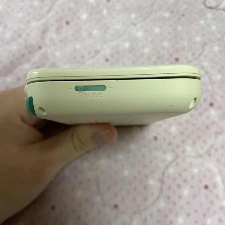 닌텐도 2ds xl 동물의숲 에디션