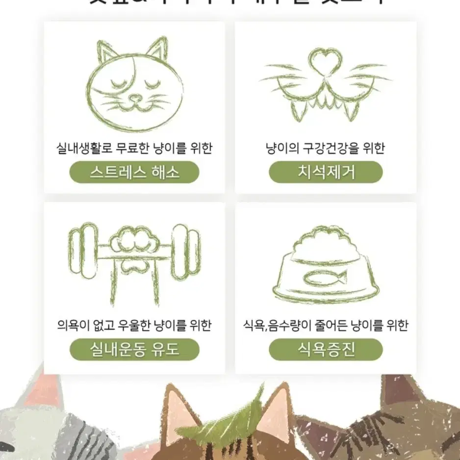 주말특가 고양이 장난감 8종(스크래쳐,케이프,흡착판낚시대,캣닢물고기,헬로