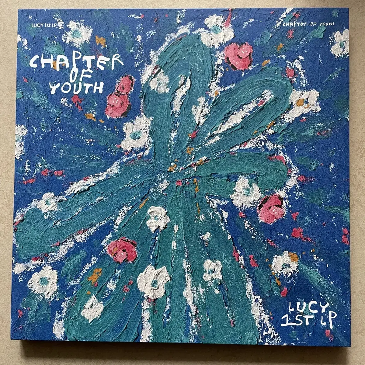 루시 Chapter of Youth LP 단순개봉