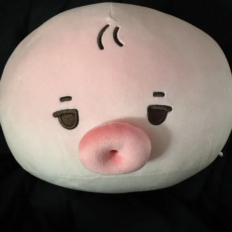 더보이즈 선우 40cm 왕 떤코 쿠션 인형