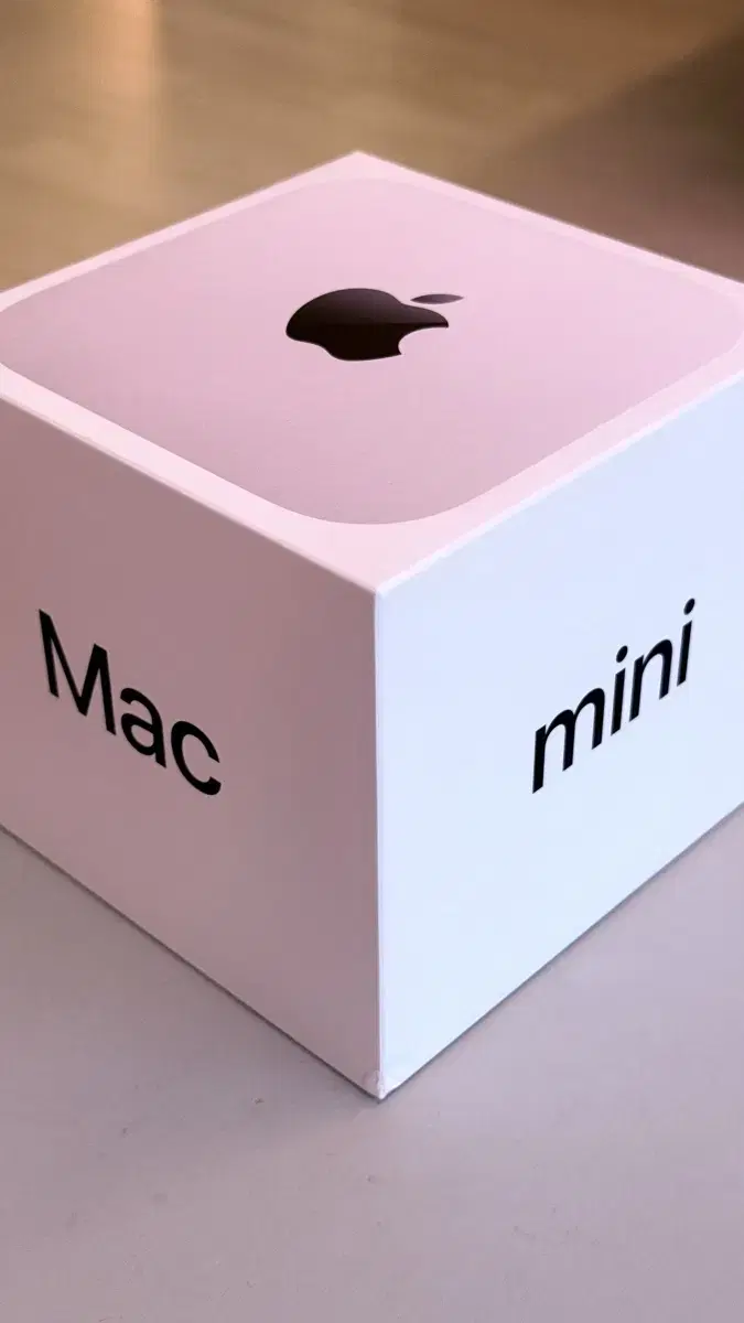 Mac Mini M4 Pro / 미사용