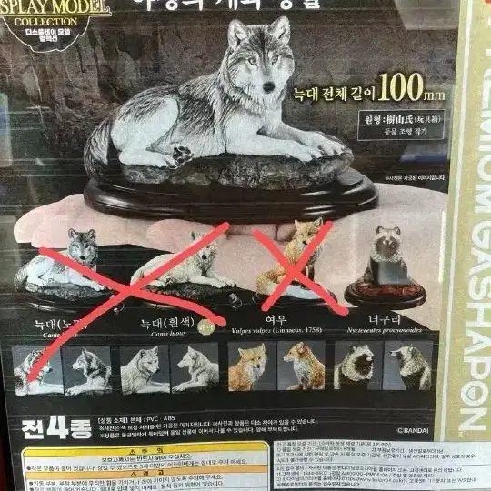 생물대도감 개과동물 너구리 판매합니다.