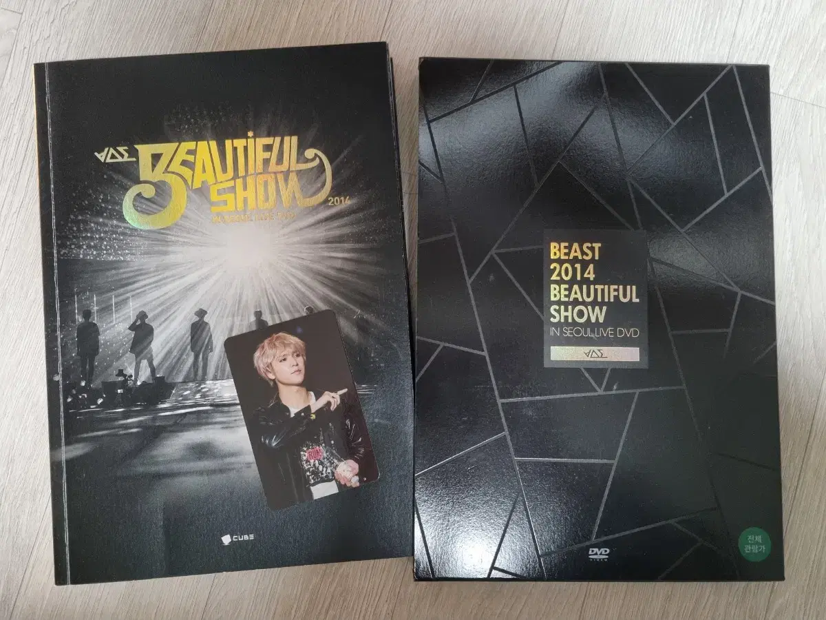 비스트 2014 뷰티풀쇼 dvd