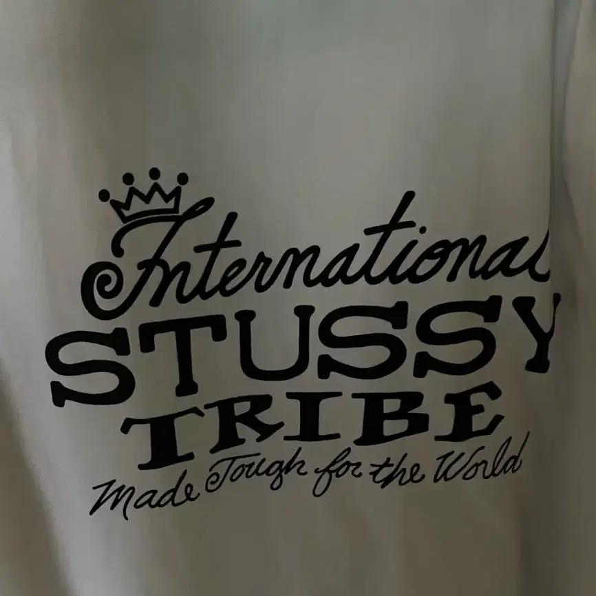 스투시 (STUSSY) IST PIG.DYED TEE