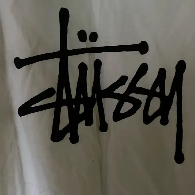 스투시 롱슬리브 (STUSSY)