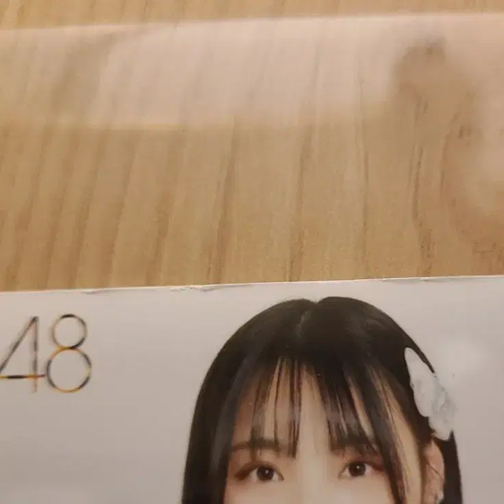 QWER 시연 NMB48 생사진 11장