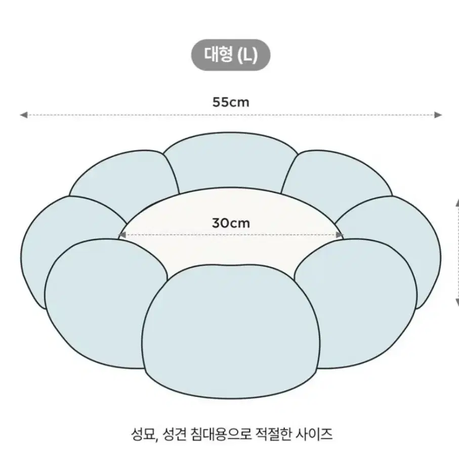 고양이방석