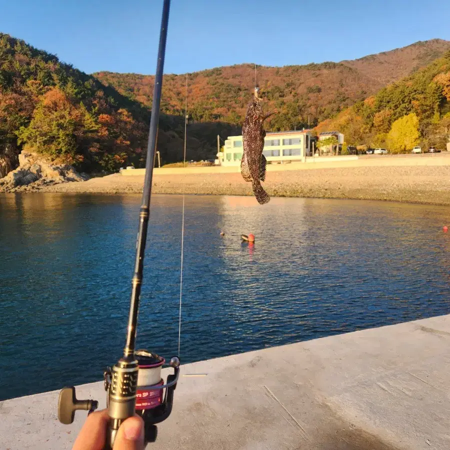 포항에서 낚시대 주우신분 찾습니다