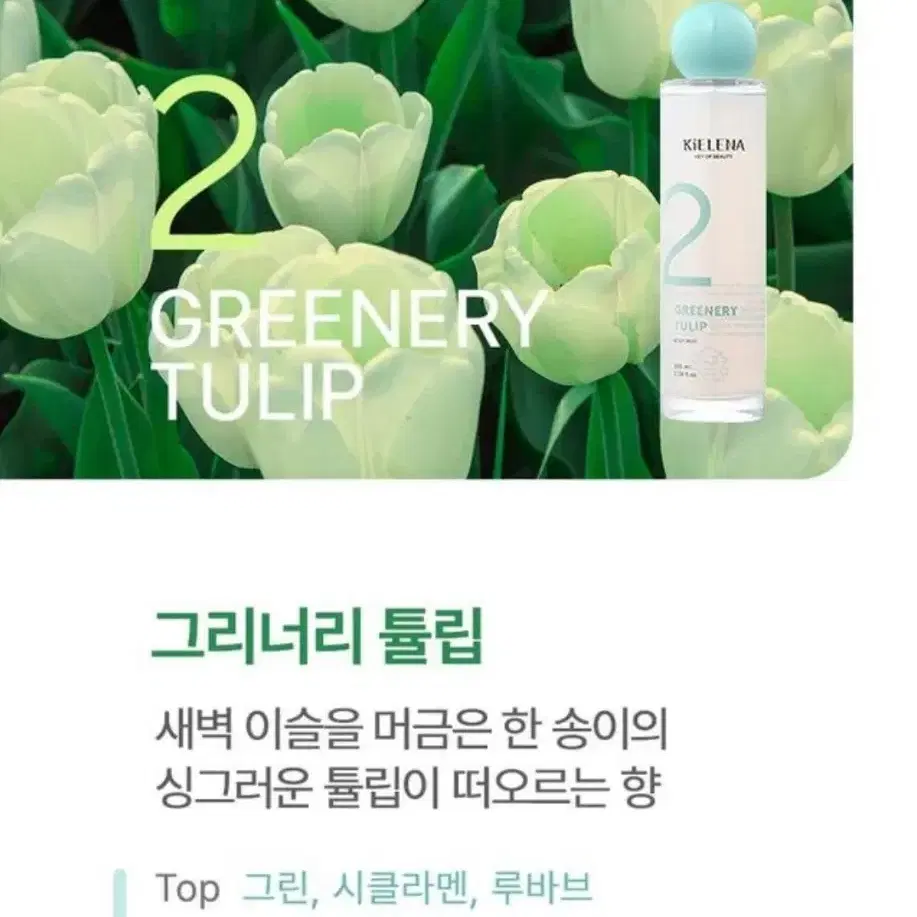 [미개봉] 키엘레나 퍼퓸 바디미스트 그리너리 튤립 100ml