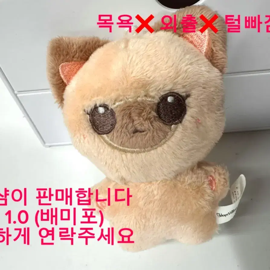 뉴진스 해린 10cm인형 핼샴이 판매 합니다!