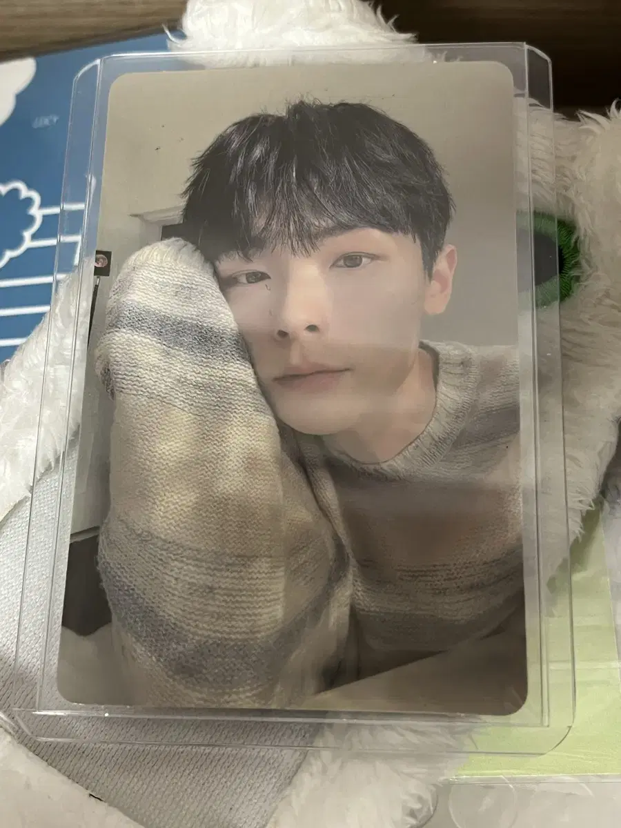 Lucy shin yechan knit yechan photocard