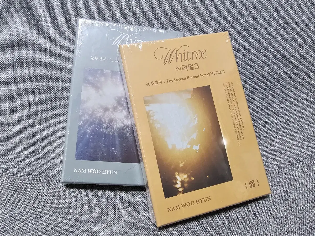 남우현 식목일3 WHITREE 라이브 앨범