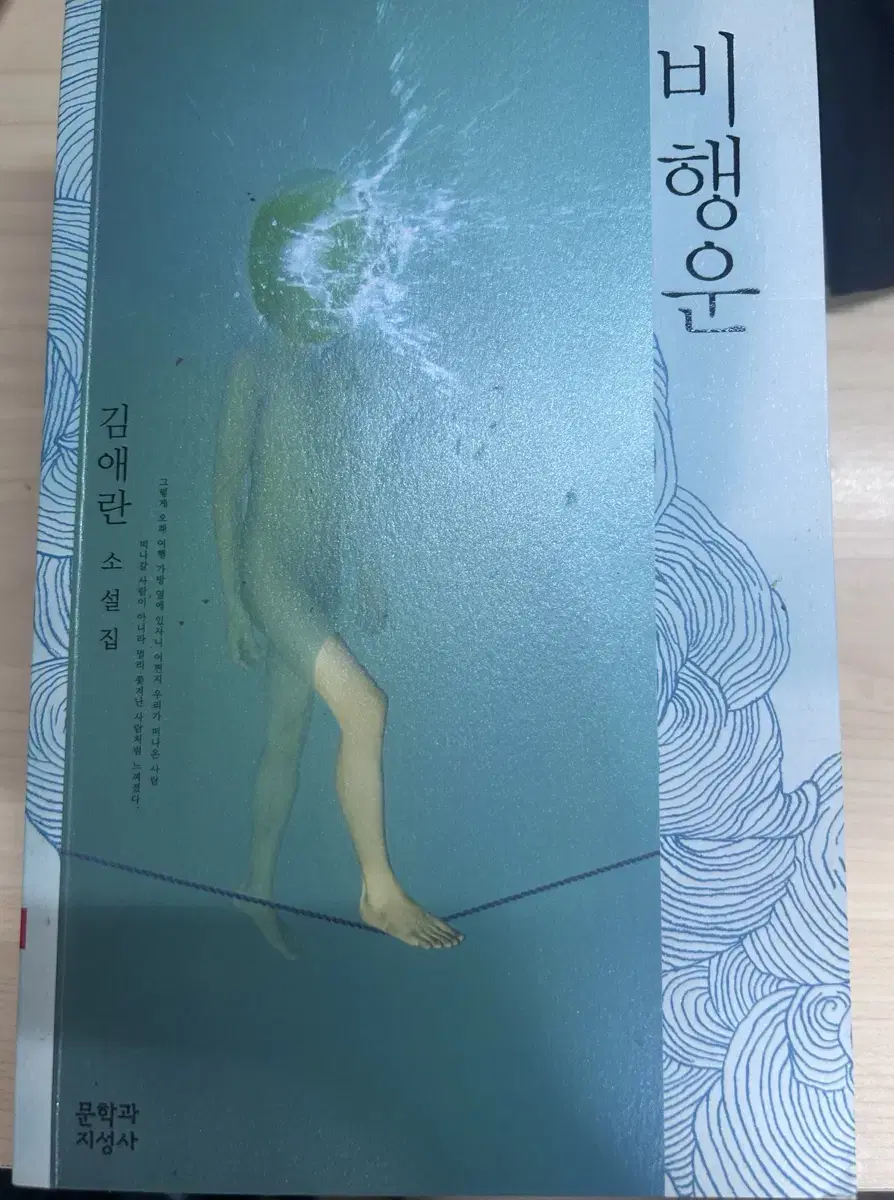 비행운 책 팝니다