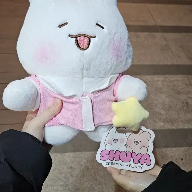 반택포 1.4)슈야토야 봉제인형 22cm 파자마