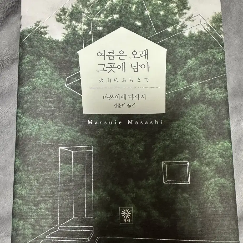 여름은 오래 그곳에 남아 도서 책