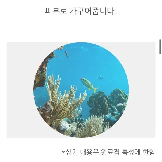 [새상품] 닥터크롬셀 네추럴 퍼펙션 마린 콜라겐 세럼 [미백, 주름개선