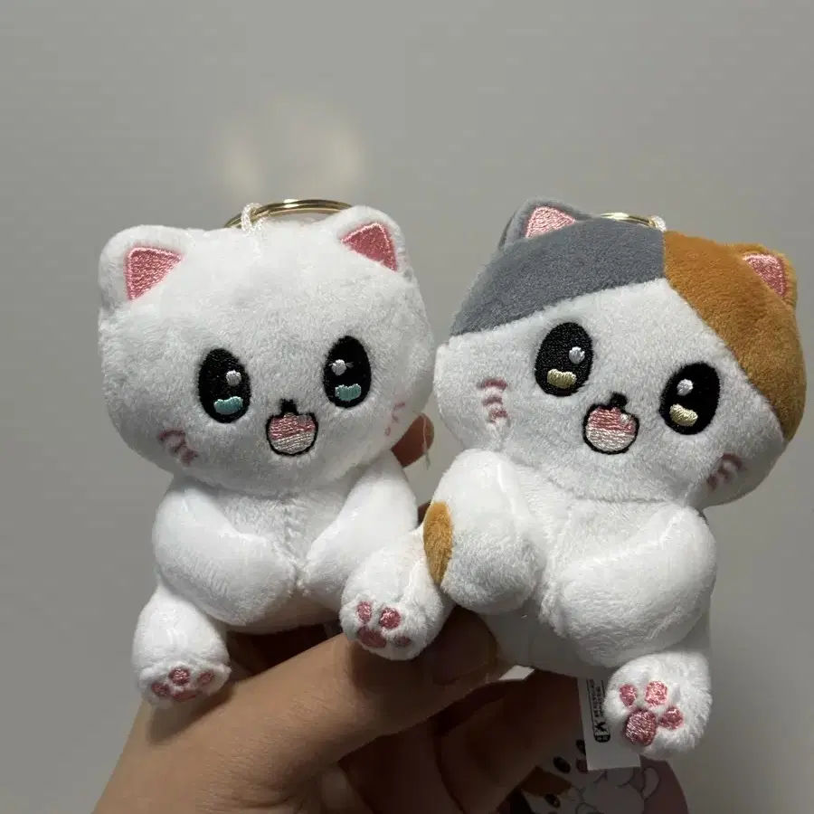 코네코짱 고양이 키링인형8cm